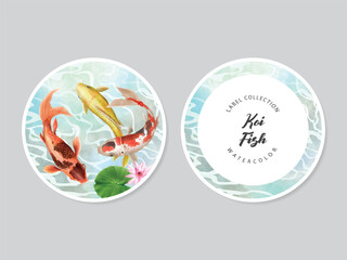 beautiful koi fish watercolor label collection