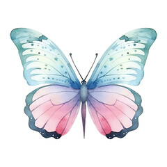 Watercolor exotic butterfly. Vector illustration with hand drawn butterfly, moth. Clip art image.