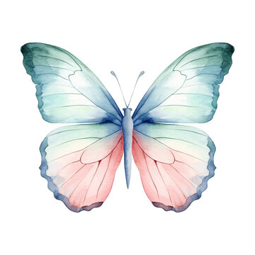 Watercolor exotic butterfly. Vector illustration with hand drawn butterfly, moth. Clip art image.