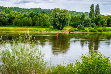 Elblandschaft bei Niederpoyritz mit stattlichen Bäumen am Fluss