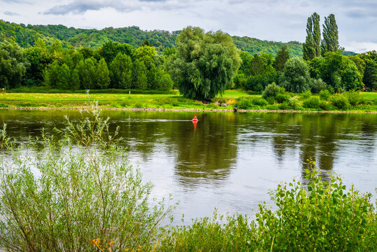 Elblandschaft bei Niederpoyritz mit stattlichen B&auml;umen am Fluss