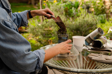 Gardening with recycled material. A woman filling pots made of newspaper sheets in the garden. 