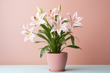 Lily flowers in a clay pot, minimalism, pastel background, reality, stock photography, high quality with copy space