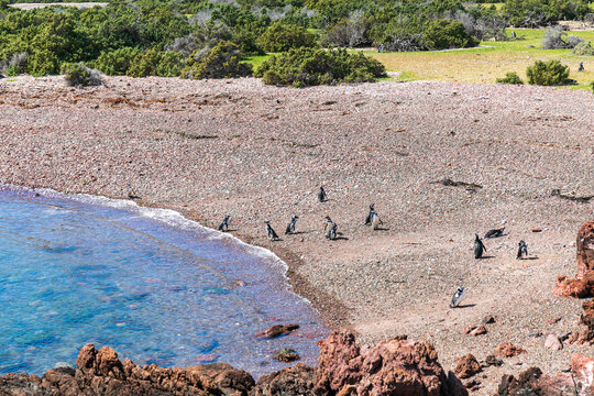 Argentine beach at Pen&iacute;nsula de Vald&eacute;s, Chubut, Argentina