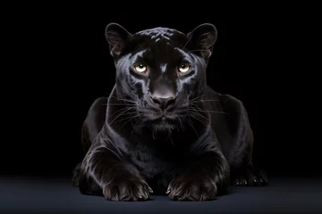 Foto op Canvas Black Panther Isolated Background © Ariestia