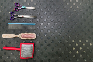 Dog grooming accessories. The concept of advertising grooming and care for dogs.