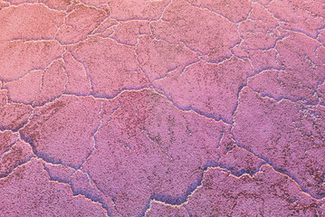 A close-up of a cracked pink salt lake at sunset creating abstract patterns. Salt production plants evaporated a brine pond in a salt lake. Salin de Giraud saltworks in Camargue, Provence, France