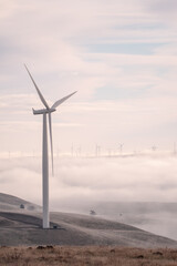electric power generation from wind farm windmills