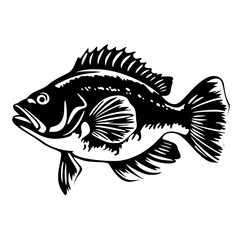 Fish Vector