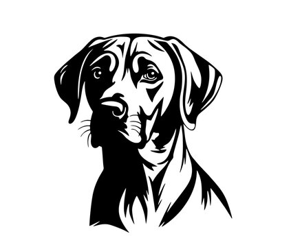 Vector isolated one single Rhodesian ridgeback dog head front view black and white bw two colors silhouette. Template for laser engraving or stencil