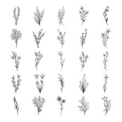 Set of plant hand drawn vector 