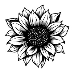 Sunflower Vector