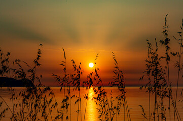 Puerto de Pollensa -  Sunrise with plants Full Hd 4k Photos Orange Sky Clear sky Mallorca © Aina