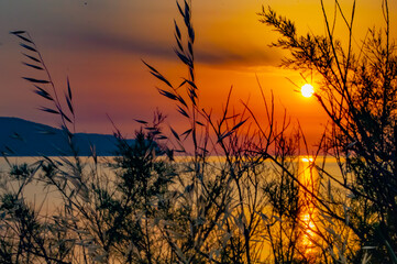 Puerto de Pollensa -  Sunrise with plants Full Hd 4k Photos Orange Sky Clear sky
Mallorca