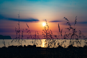 Puerto de Pollensa -  Sunrise with plants Full Hd 4k Photos Orange Sky Clear sky Mallorca © Aina