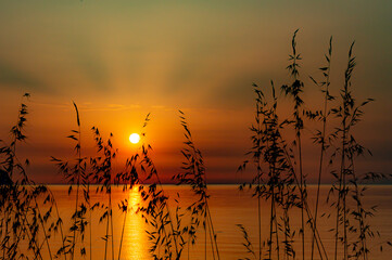 Puerto de Pollensa -  Sunrise with plants Full Hd 4k Photos Orange Sky Clear sky Mallorca © Aina