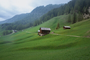 Alpine green meadows. Mountains and huts. Valley in the fog, cloudy. Nature