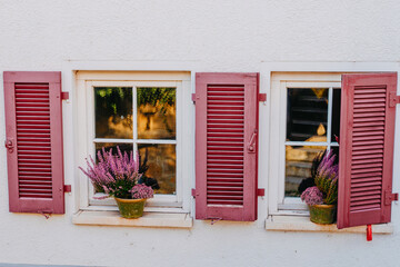 Fototapeta premium Typical facade of the old Provencal retro house with windows and wooden shutters decorated with colorful fresh flowers. Purple blooming bouganville near a traditional window. Flowers under shuttered