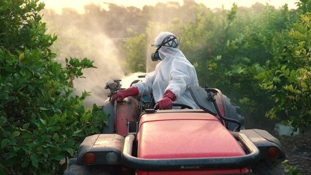 Anonymous farmer spraying pesticide on lemon trees while riding tractor