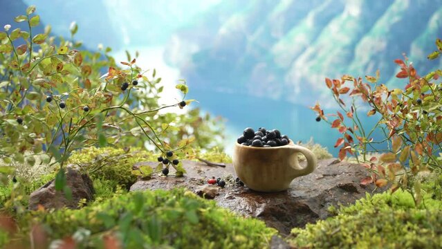 Traditional Finnish wooden cup kuksa filled with blueberries, against the backdrop of the Scandinavian landscape in early autumn. Berry season in Northern Europe