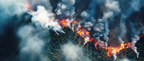 Rainforest fire, wildfire, smoke disaster is burning caused by humans during the dry season
