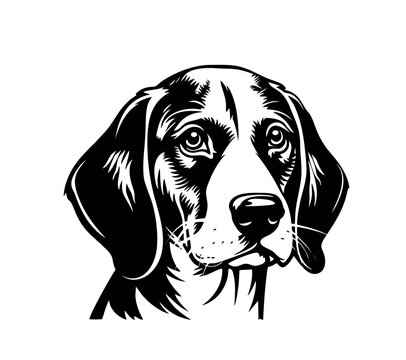 Vector isolated one single Beagle dog head front view black and white bw two colors silhouette. Template for laser engraving or stencil