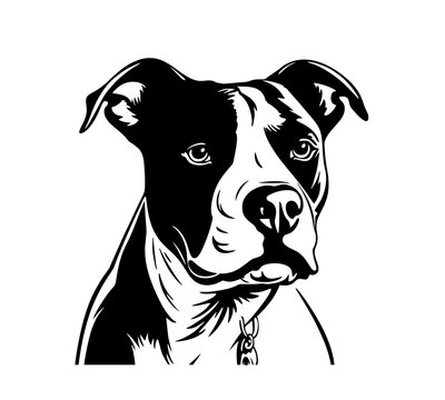 Vector isolated one single American Staffordshire terrier dog head front view black and white bw two colors silhouette. Template for laser engraving or stencil