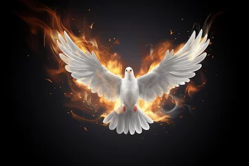 Fotobehang Pentecost background with flying dove and fire. © Bargais