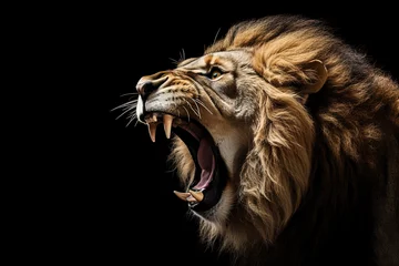 Zelfklevend Fotobehang Lion roaring on black background. © Bargais