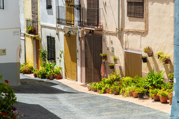 Fototapeta na wymiar Beautiful street with plants in Balones town, Alicante, Spain