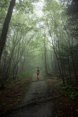 Hiking in the Forest on a Foggy Day.