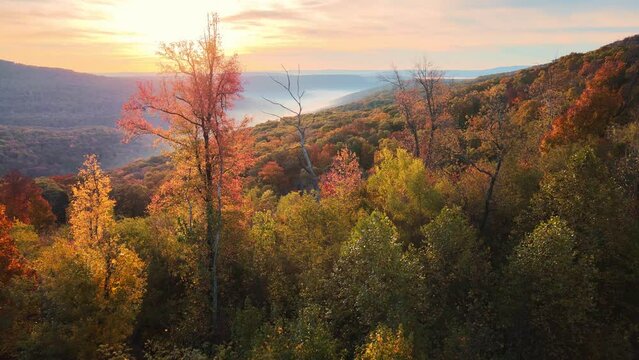 Colorful Arkansas ozark mountain scenic overlook in fall with autumn colored forest via aerial drone view