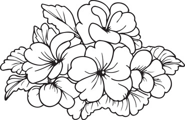 primrose coloring pages flower children, primrose line drawings