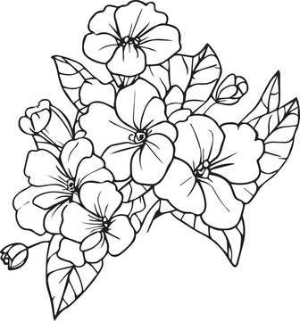 primrose coloring pages flower children, primrose line drawings