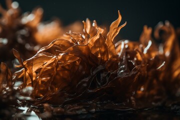 Translucent brown seaweed/kelp. Provides food, iodine, and used in medicine/cosmetics. Generative AI - obrazy, fototapety, plakaty
