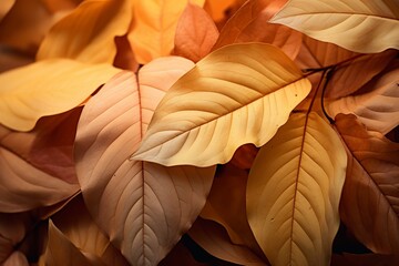 Autumn's Splendor. Close-Up of Colorful Leaves. Nature's Artistry in Every Detail. Captivating Patterns in Autumn's Palette. Background Generative Ai