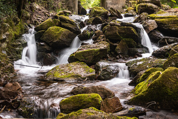 Fototapeta premium Beautiful water stream in Gresso river Portugal. Long exposure smooth effect. Scenic landscape with beautiful mountain creek with green water among lush foliage in forest