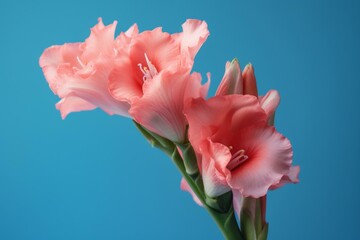 Pink gladioli stem on azure background, greeting card design. Generative AI