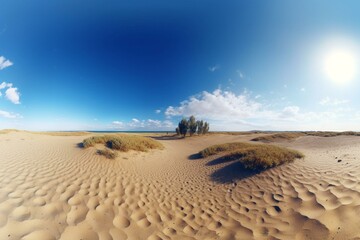 360 panorama rendering of a sandy field under a blue sky. Generative AI