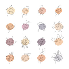 Autumn icon Line art. Abstract minimal leaf design for spring and autumn. Vector illustration