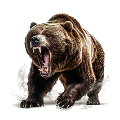 Ferocious brown grizzly bear on transparent background
