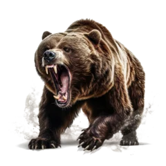 Fototapeten Ferocious brown grizzly bear on transparent background © I LOVE PNG
