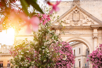 City of Lecce, Italy in summer with many pink flowers