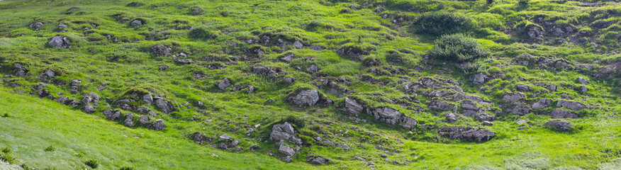 A lush green hillside with scattered rocks and boulders of different sizes. © Andrii Zastrozhnov