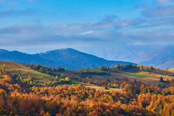 A Majestic Landscape: Yellow Leaves, Coniferous and Deciduous Forests Surround a Peaceful Village in an Autumn Morning