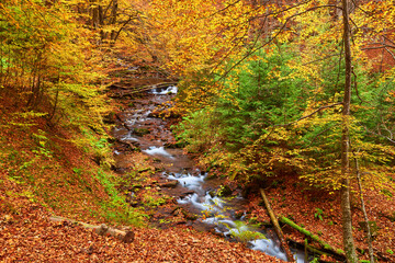 Enchanting Autumn River Amidst Narrow Mountain Gorge