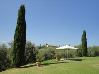 garden in Tuscany