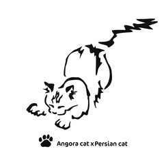 Vector drawing of a stylized cat with long hair. Mix of Angora cat with Persian cat. Animal gestalt design.