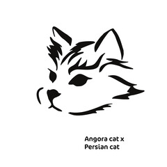 Vector drawing of a stylized cat with long hair. Mix of Angora cat with Persian cat. Animal gestalt design.