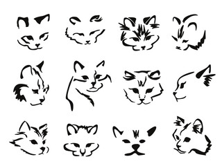Fototapeta premium Vector drawing of a stylized cat with long hair. Mix of Angora cat with Persian cat. Animal gestalt design. Image set